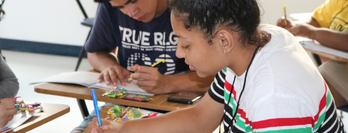 Students working on STAN Plan